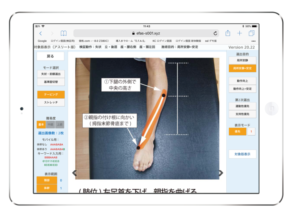 肩こり・首こり テーピング
